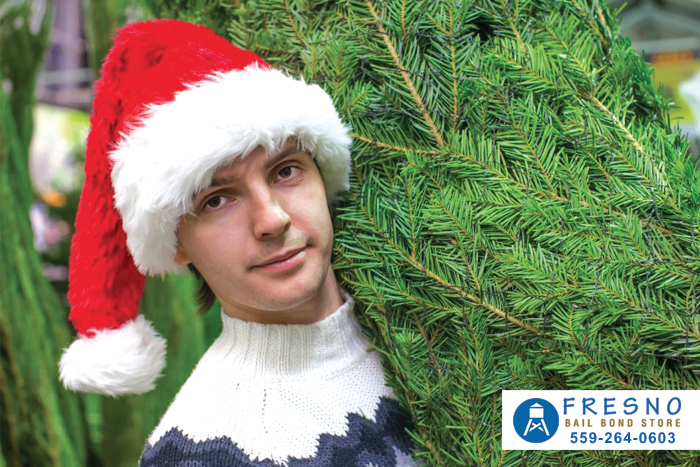 Can You Cut Down Your Own Christmas Tree?