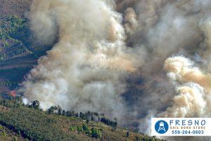 Staying Safe During California’s Wildfire Season