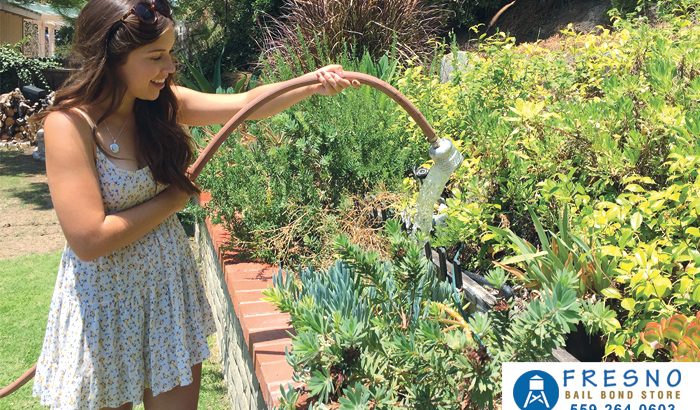 Watering Your California Lawn